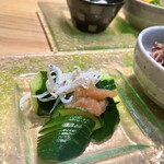 竹庭TOMORI - 胡瓜としらすの梅和え！