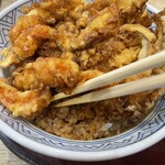 Tempura Aduma - 