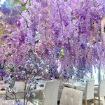 HAUTE COUTURE CAFE OMOTESANDO - 