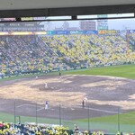 阪神甲子園球場 - 1塁アイビー席40段17-18番