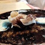 鮨 美幸 - 鳥貝