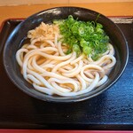 こだわり麺や - かけうどん(中)