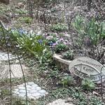 シークレット レストラン カメ - 