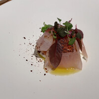 マンサルヴァ - 