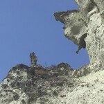 民宿　みやの - 仏ヶ浦奇岩群