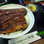 うなぎの天保 - うな丼の並（1150円）