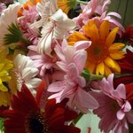 料理民宿ないとう - お土産のガーベラ