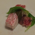 コルツ - 2014/02　春らしいしたて