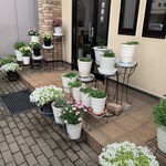 ジャマイカ - 店頭にはお花がたくさん