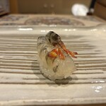 寿司割烹 黒潮 - 