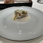 ジョンティ アッシュ - 