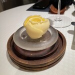 ジョンティ アッシュ - 