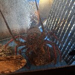 ステーキ パンドラ 匠 - 