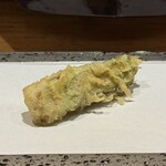 玄水 - 天然 独活