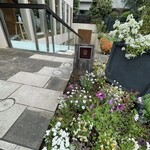 ダンディゾン - 