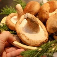 肉厚生椎茸ステーキ