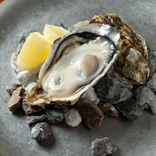 Fresh, direct-from-the-farm raw Oyster at reasonable prices. Enjoy the differences between each production area.