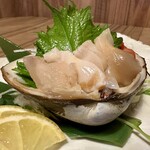 海鮮と日本酒 政良 - 