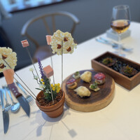 Convivio - 