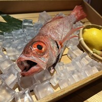 のどぐろ専門 銀座 中俣 - 