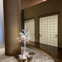 博多水炊きと焼き鳥 鳥善 銀座店 - 