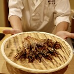 鮨 やすみつ - ガス海老