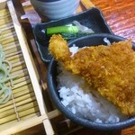 天地豊作 - タレカツ小丼