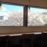 ハナカフェ - 店内より桜並木を望む