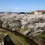 ハナカフェ - 店舗そばの歩道橋より