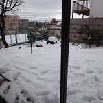 坂の上のそば屋 司 - 座敷から雪の積もった庭を望む