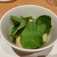 マンサルヴァ - 