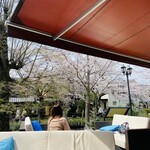 Riverside Café Green Terrace - テラス席でお花見しながらランチ