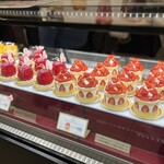 TOKYOチューリップローズ - 