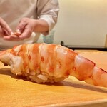 鮨 はしもと - 2024.4.  車海老