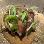 レミニセンス - 