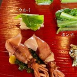 たでの葉 - 春の山菜盛合せ！
      一つ一つに名前を添付しました。