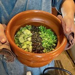 たでの葉 - そら豆・蕨・コシアブラの炊き込みご飯
      野菜に山菜だけの炊き込みご飯が良いのです♪
      凄く美味しかったですd(^_^o)