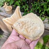たい焼き小田屋