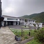 マルゲリータ - 