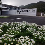 マルゲリータ - 