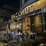 BACCHUS - 