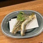Nonki Tei - わかさぎと旬菜の天ぷら