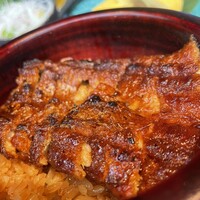 まるや本店 銀座グラッセ - ひつまぶし