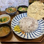 Tsukito Kame - ミールス出来た定食。