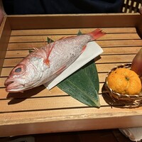 のどぐろ専門 銀座中俣 はなれ - 