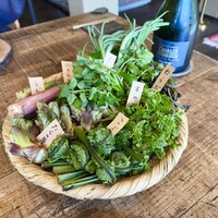 Terroir愛と胃袋 - 
