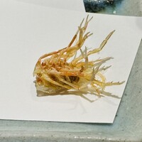 銀座 天一 博多店 - 
