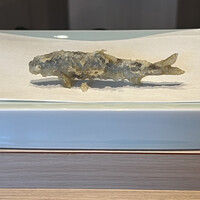 天ぷら たなか - 