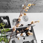 江戸そば マルノ - 内観