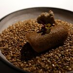 ラ・ヴァガボンド - 